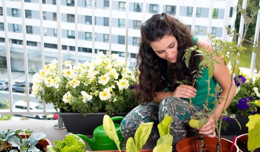 Woman planting flowers in containers on a city apartment balcony