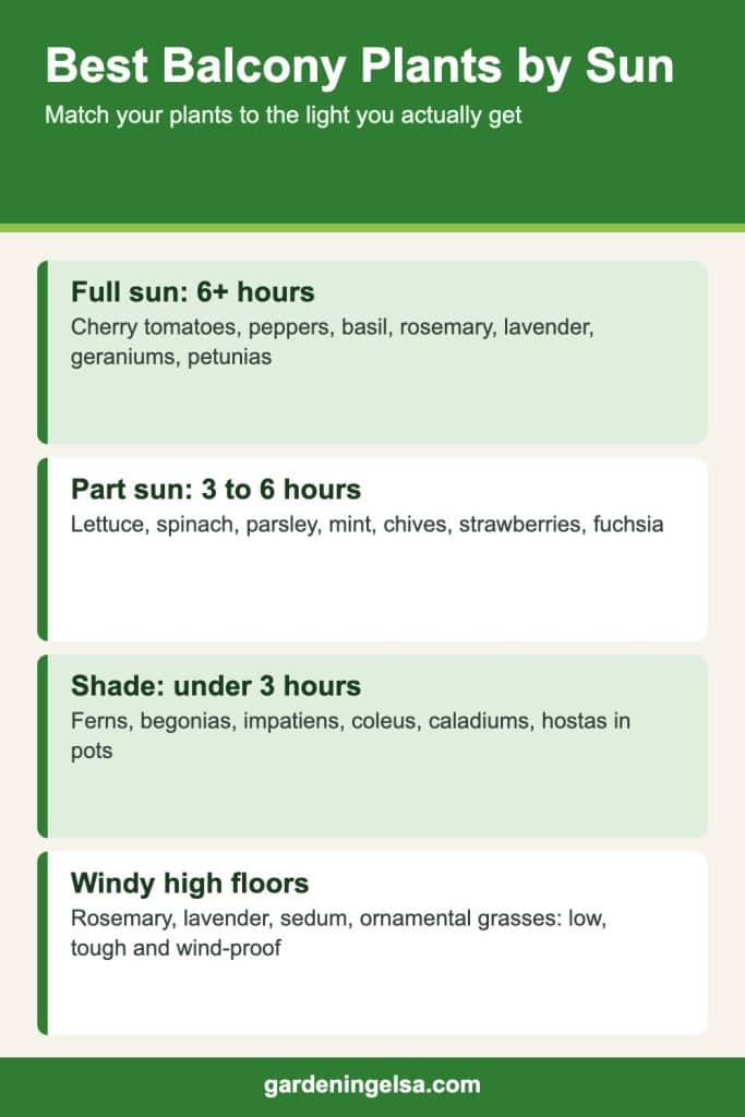 Infographic listing the best balcony plants for full sun, part sun and shade