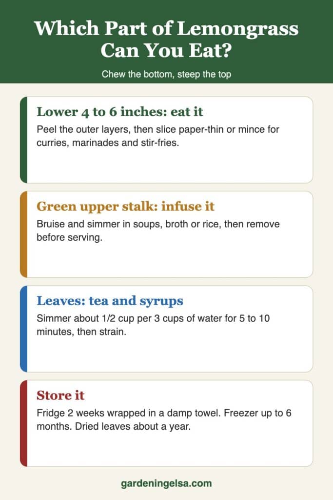 Infographic of lemongrass edible parts: the pale lower 4 to 6 inches of stalk is eaten minced, the green upper stalk and leaves flavor tea and broth, outer sheaths are peeled off, and the root end is discarded